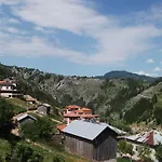 Kristal Trigrad